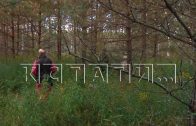 Бесплатные участки многодетным семья и семьям участников СВО дали в непролазном лесу