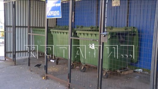 Даже видимость раздельного сбора мусора исчезла с улиц Нижнего Новгорода