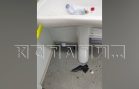 Из за нашествия вандалов глава Городецкого района распорядился закрыть общественные туалеты