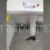 Из за нашествия вандалов глава Городецкого района распорядился закрыть общественные туалеты