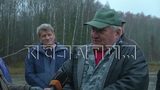 Крупное сырное производство второй раз отравило отходами озеро в Городецком районе