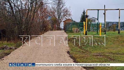 Новую дорогу в Дальнеконстантинове провели не туда, куда просили люди, а к дому местного чиновника