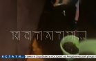 Отопительный сезон уничтожил квартиры погорельцев, только восстановленные после пожара
