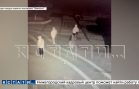 Подростки по ночам пробираются в закрытый зоопарк и бродят рядом с клетками опасных хищников