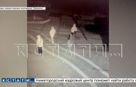 Подростки по ночам пробираются в закрытый зоопарк и бродят рядом с клетками опасных хищников