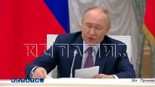 Президент России отметил позитивный опыт Нижегородской области в демографической и семейной политики