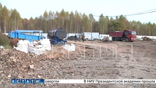Разграбление токсичной свалки, под видом строительства площадки для собак, проверила администрация