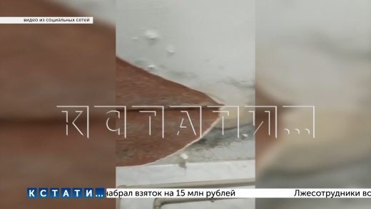 Ректор, переделал часть общежития в свою шикарную квартиру, а студенты живут с грибком и плесенью