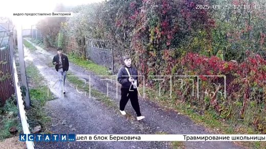 Садоводы сняли скрытой камерой наркоторговцев, выяснили где прячут наркотики и вызвали журналистов