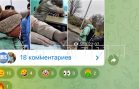 Школьники создали телеграммканал,для травли девочки,а мать обидчика натравила собаку на журналистов Школьники создали телеграммканал,для травли девочки,а мать обидчика натравила собаку на журналистов
