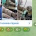 Школьники создали телеграммканал,для травли девочки,а мать обидчика натравила собаку на журналистов