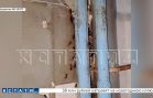 Тараканы стали новым участниками коммунального скандала, разразившегося вслед в за коррупционным