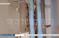 Тараканы стали новым участниками коммунального скандала, разразившегося вслед в за коррупционным