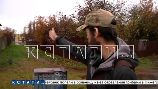 В полиции пообещали отреагировать на сообщение о ночном преступлении сразу после начала рабочего дня