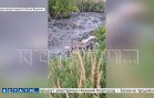 Зловонная экологическая катастрофа в Богородском районе