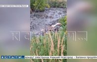 Зловонная экологическая катастрофа в Богородском районе