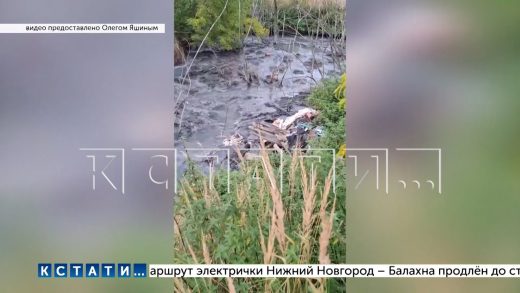 Зловонная экологическая катастрофа в Богородском районе