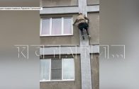 Зоозащитники пытаются добиться вскрытия квартиры, в которой погибают кошки