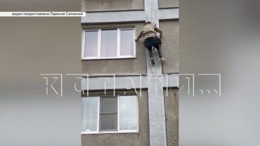 Зоозащитники пытаются добиться вскрытия квартиры, в которой погибают кошки