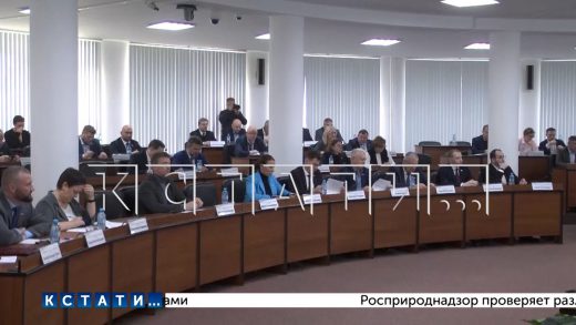 Депутаты городской Думы сегодня внесли изменения в устав Нижнего Новгорода
