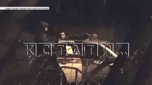 Домашний тиран по ночам через окна забирается в квартиры соседей и пьёт чай на их кухнях