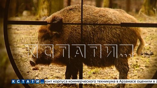 Егеря, который боролся с браконьерством, уволил начальник, который оказался судим за браконьерство