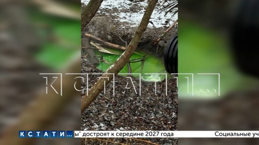 Из за ошибки коммунальщиков городское озеро в Кстове позеленело