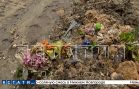 Песок с могильными цветами и венками используют при укладке новых дорог в Выксе