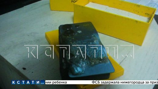 Хозяйка, хочет добиться компенсации за телефон, который вспыхнул и чуть не спалил всю квартиру