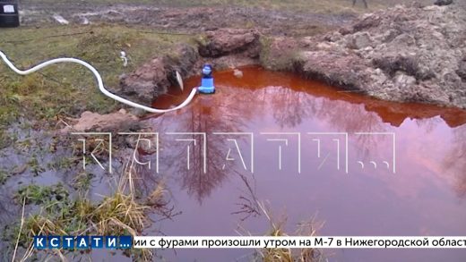 Животные пострадали из за разлива нефти у железной дороги