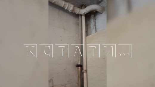 Дом, полный комаров и с тропическим климатом, появился в зимой Автозаводском районе