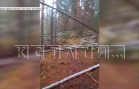 Дороги в нижегородских лесах завалены валежником,но расчищать их нельзя под угрозой уголовного дела Дороги в нижегородских лесах завалены валежником,но расчищать их нельзя под угрозой уголовного дела