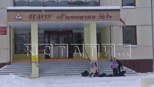 Чтобы воспитать школьников, директор школы в лютый мороз не пустила их в школу и заставила мёрзнуть