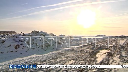 Деятельность «мусорной мафии», организовавшей свалку снега, пытаются расследовать районные власти