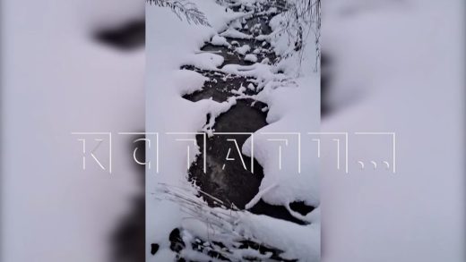 Новый коммунальный прорыв в Богородске снова отравил речку Рязанку