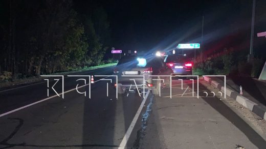 Пенсионерка, которую буквально разорвало автомобилем лихача, по мнению полиции, виновата сама