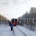 Пригородный поезд сломался в лесу,пассажиры были вынуждены идти,утопая в снегу, в 23-градусный мороз