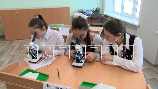 В 2025 году в Нижегородской области отремонтировали 20 школ