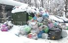 Вслед за снежным коллапсом в нижегородские дворы пришел мусорный коллапс