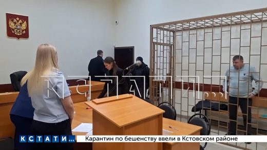 Аферист, обманувший десятки людей на миллионы рублей, несмотря на арест, избежит ответственности