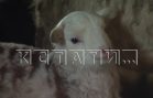На поддержку аграриев в Нижегородской области в 2026 году будут направлены 365 миллионов рублей