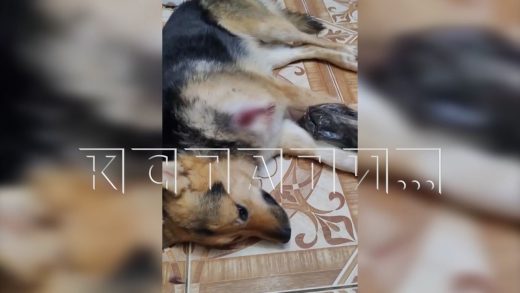 Отвергнутый сталкер сначала угрожал девушке зарезать её близких, а потом начал исполнять свои угрозы