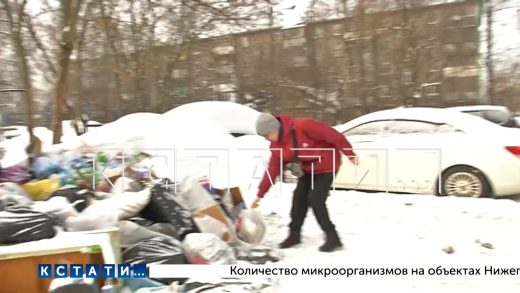 Посетительницы женской консультации напуганы расплодившимися крысами, из‑за невывоза мусора