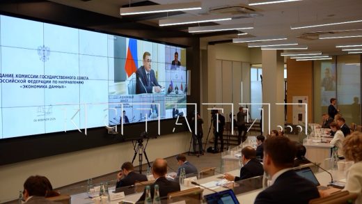 Предложения от Нижегородской области по внедрению ИИ представлены на заседании комиссии Госсовета РФ