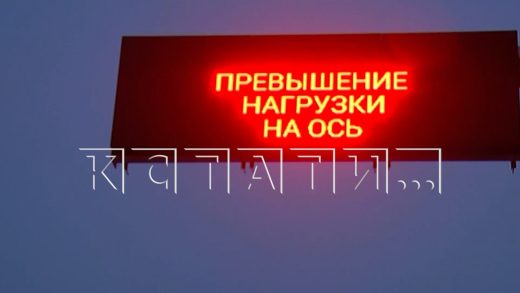 Из‑за ошибки системы весового контроля штрафы до 600 000 стали накладывать на лёгкие автомобили