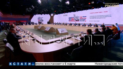 Нижегородцы приняли участие в заседании комитета по проведению «Года единства народов нашей страны»