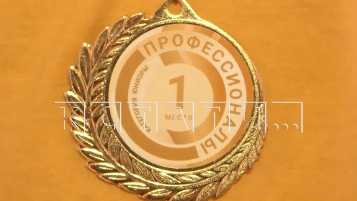 В Нижегородской области завершен этап всероссийского чемпионата «Профессионалы»