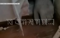 Хозяин магазина прорубил стену и ночью засунул руку в соседнюю квартиру, и стал там шариться