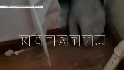 Хозяин магазина прорубил стену и ночью засунул руку в соседнюю квартиру, и стал там шариться