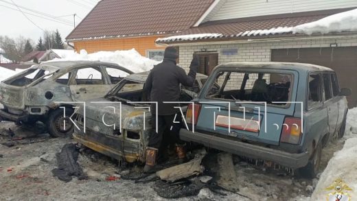 Желая отомстить за дочь, житель Богородска сжёг автомобили своих соседей